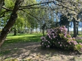 Photo numero 47472137 du bien UBI474023456